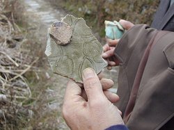 �u���v����̔j��