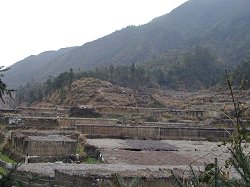 �P�O�O�O�N�O�̗q��ՁB