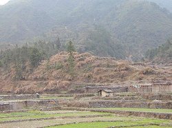 �P�O�O�O�N�O�̗q��ՁB